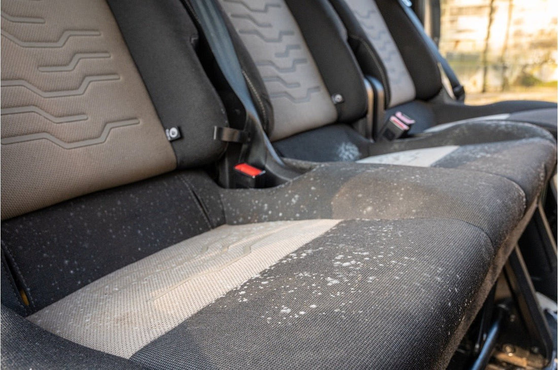 How to Clean Mould Off Car Seats & Interior? - autopump