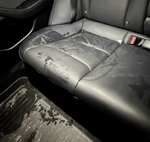 How to Clean Urine from Leather Car Seats? Step-by-Step Guide - autopump