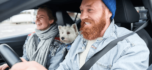 How to Get Dog Smell out of Car Seats: 3 Methods to Try - autopump