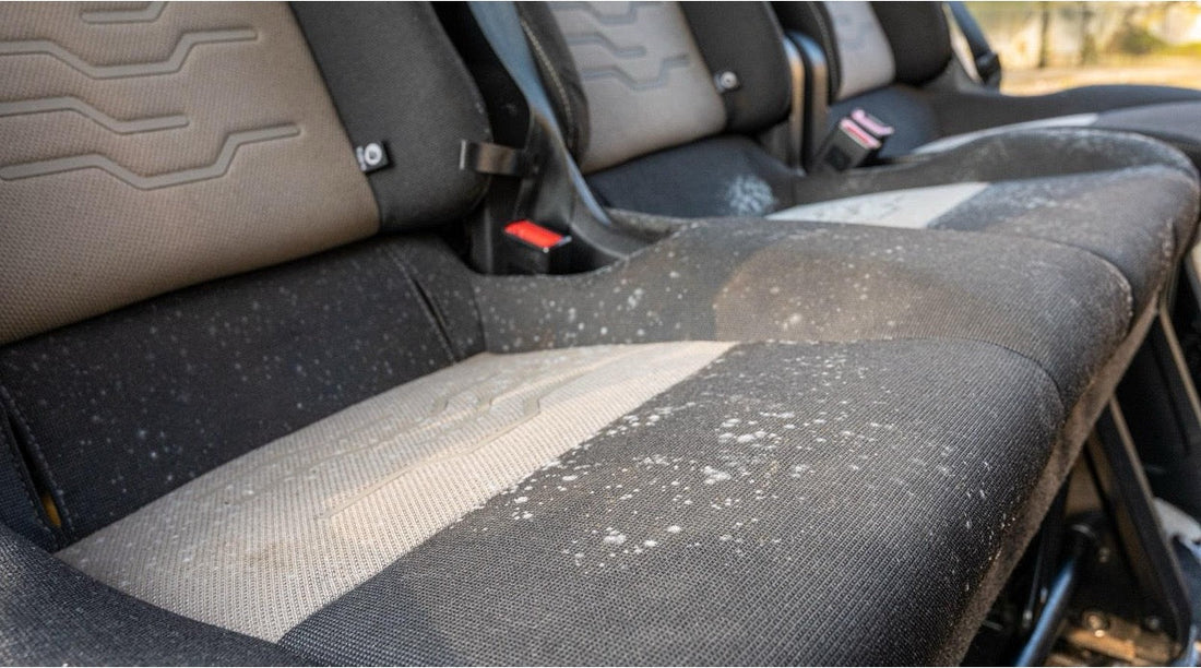 How to Clean Mould Off Car Seats & Interior? - autopump