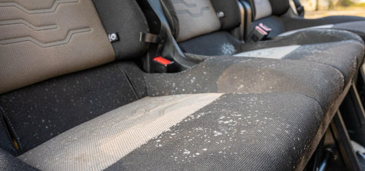 How to Clean Makeup Off Leather Car Interior: Step-by-Step Guide - autopump