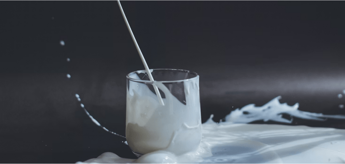 How to Clean Milk from a Car Seat: 6 Methods to Try - autopump