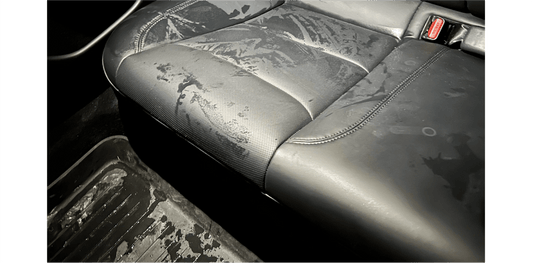 How to Clean Urine from Leather Car Seats? Step-by-Step Guide - autopump