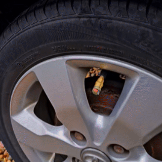 above_fold_gif_desktop_final__PID:5f4b69e1-757f-405d-9961-df4d0eabdb11